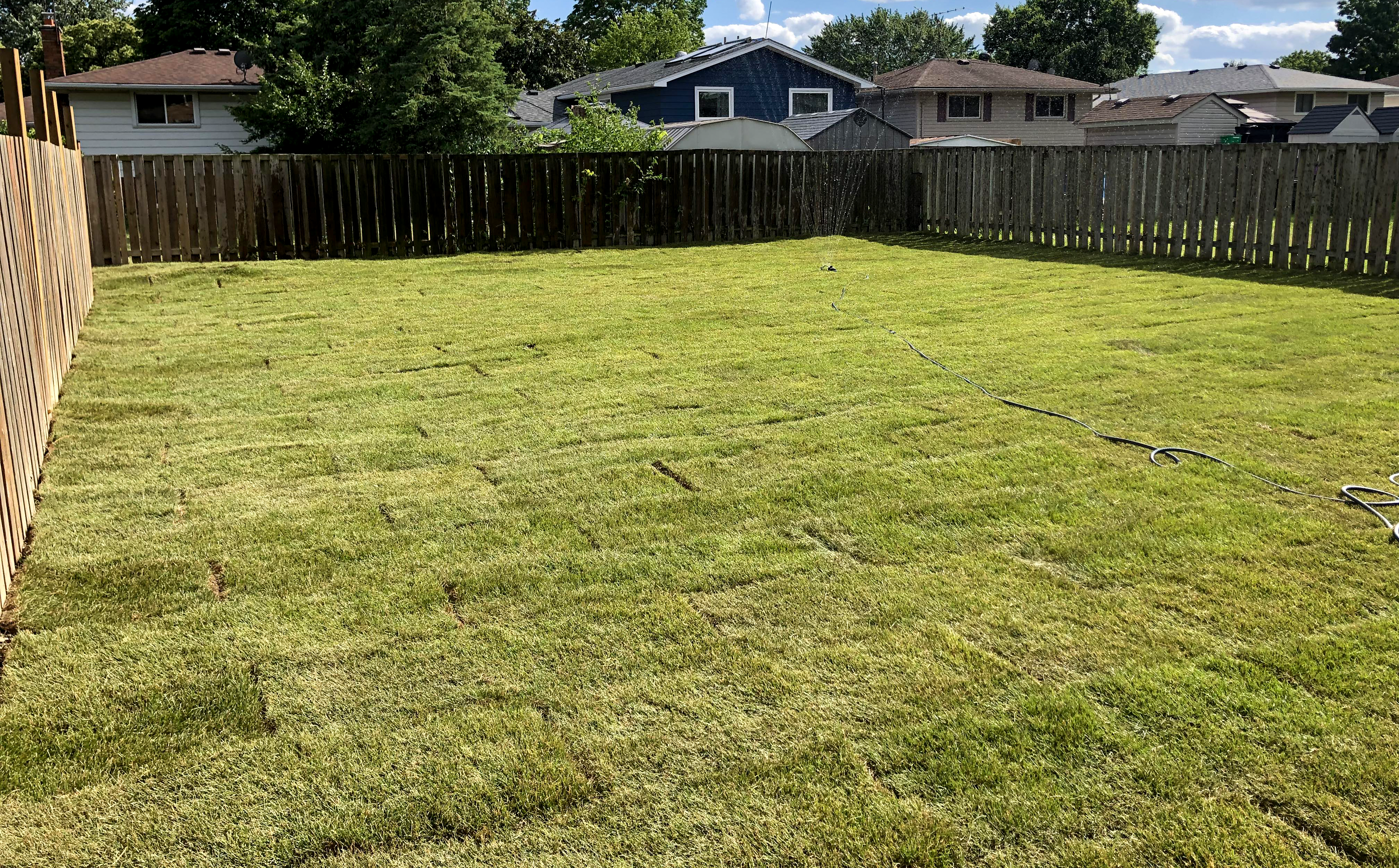 Beautifully installed sod lawn