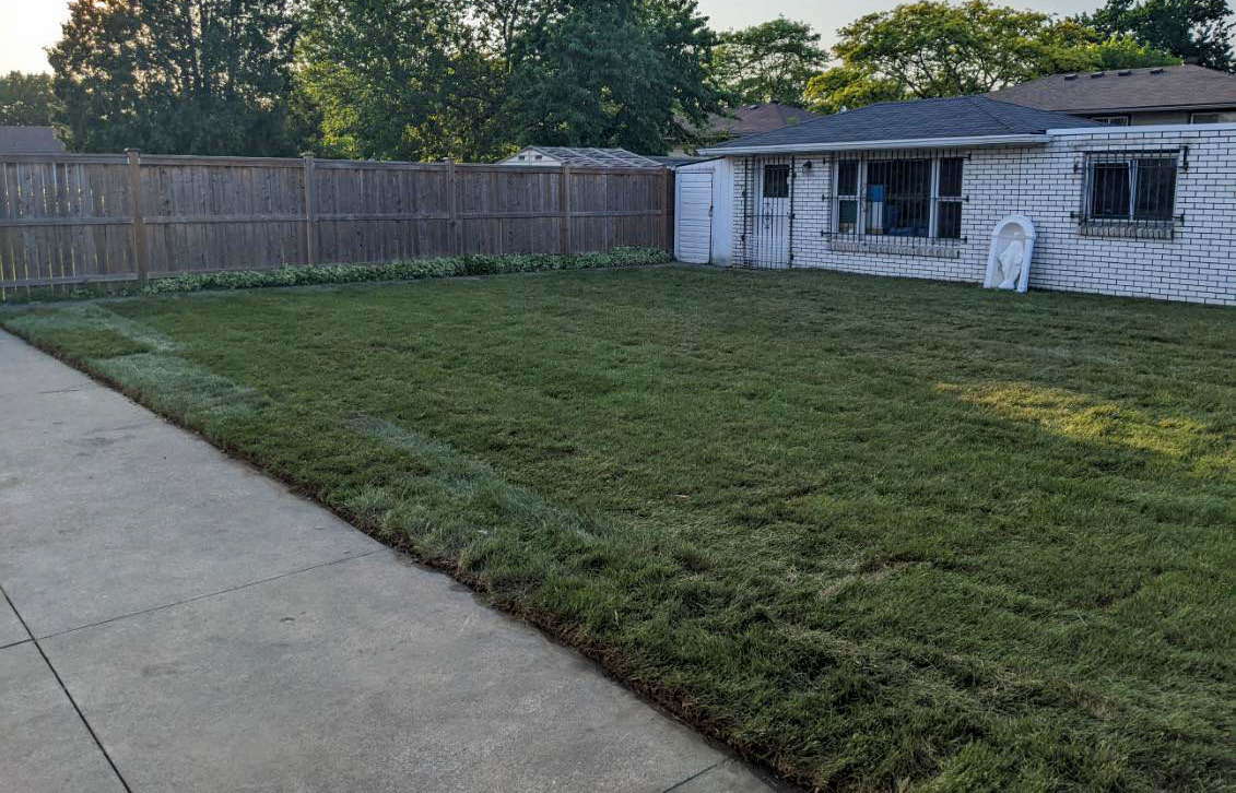 Instant Lawn with Premium Sod