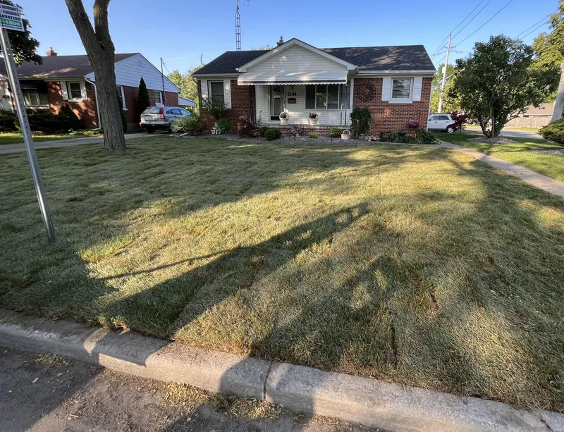 Front yard with new sod installation in Windsor